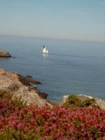 Cap Sizun 2<br />